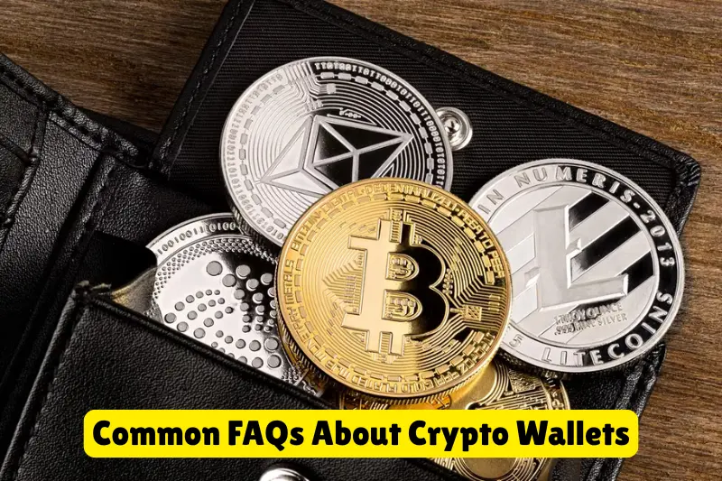 common faqs about crypto wallets