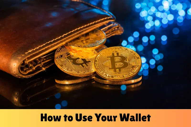 how to use your wallet