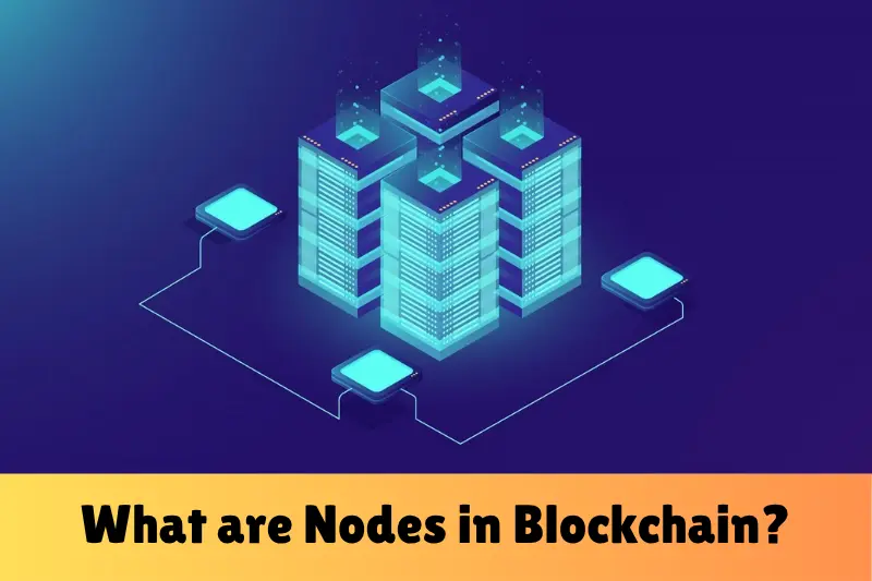 what are nodes in blockchain