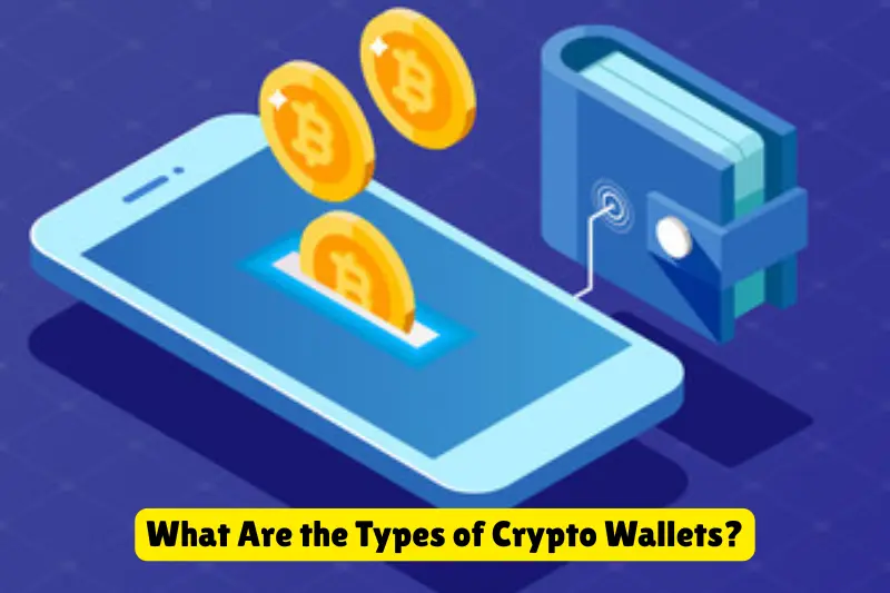 what are the types of crypto wallets