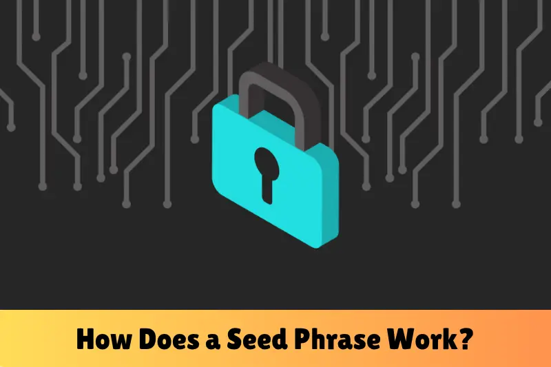 how does a seed phrase work