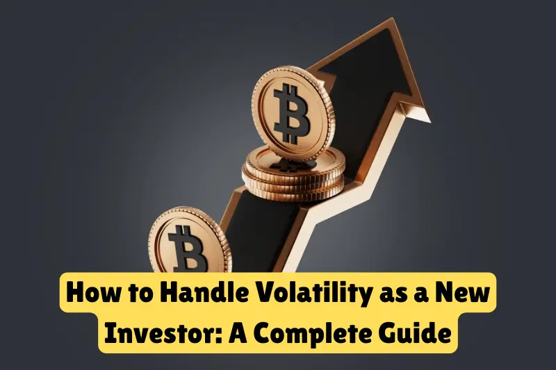 how to handle volatility as a new investor a complete guide