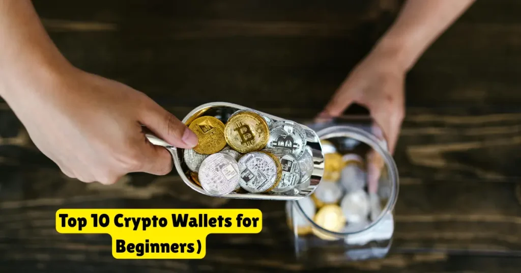 top 10 crypto wallets for beginners (2025 edition)
