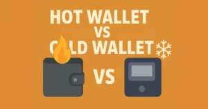 hot wallet vs cold wallet - which one should you choose